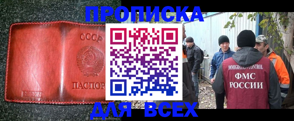 временная регистрация поиск в Димитровграде